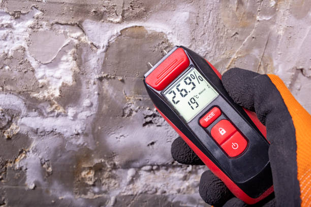 Best Commercial Mold Remediation in Cherry Valley, CA
